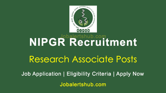 research associate ii jobs